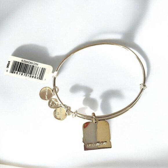 Alex and Ani 60 and Sensational Charm Bracelet Silver Finish - Expands 2"- 3.5" - Picture 2 of 2